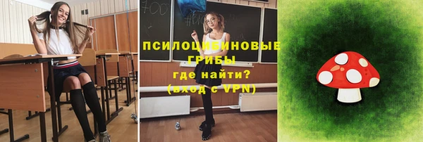 2c-b Надым